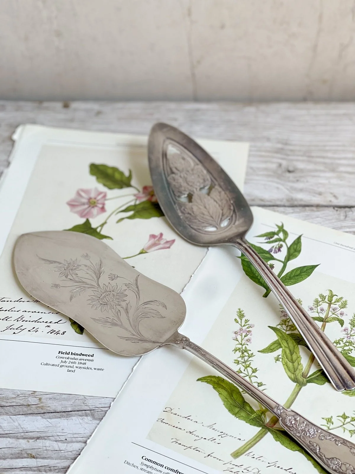 Vintage French Art Nouveau Silver Plated Cake Slicer Spatula and